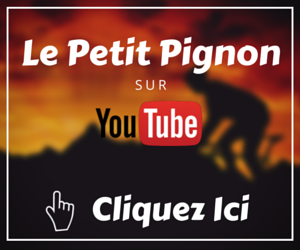 Chaine Youtube Le Petit Pignon